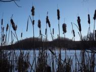 Підсереднє з panoramio.com