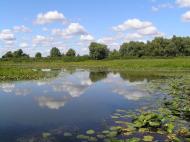 Надинівка з panoramio.com