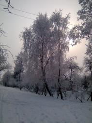 Вижгів з panoramio.com