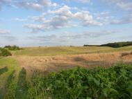 Острів з panoramio.com