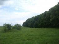 Любомирівка з panoramio.com