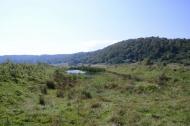 Малий Березний з panoramio.com