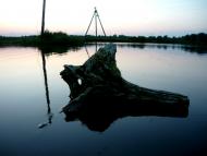 Нехаївка з panoramio.com