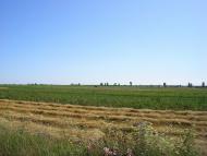 Велицьк з panoramio.com