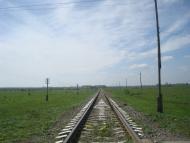 Старі Бейзими - Останні фото