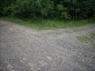 Ярок з panoramio.com