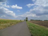 Мареничі з panoramio.com