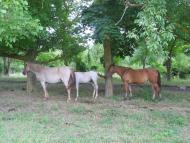 Інкерман з panoramio.com