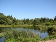 Вільне з panoramio.com