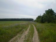 Гірманка з panoramio.com