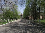 Сніжне з panoramio.com