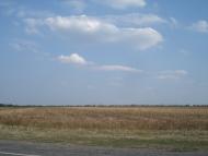 Нове - Останні фото