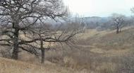 Зугрес з panoramio.com (ч.2) - Zugres