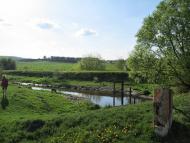 Матвіївці - Останні фото