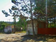 Каштанове з panoramio.com