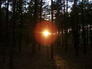 Підманове з panoramio.com