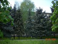 Слов'яносербськ з panoramio.com