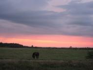 Залухів з panoramio.com