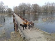 Введенка з panoramio.com