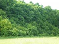 Бруслинів з panoramio.com