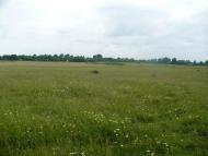 Бруслинів з panoramio.com