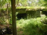 Страшеве з panoramio.com