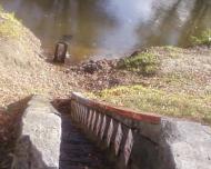 Перешпа з panoramio.com