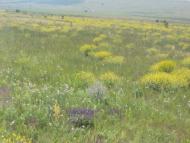 Горянка - Останні фото