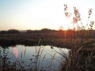 Твориничі з panoramio.com