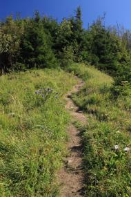 Коростів з panoramio.com