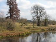 Червона Волока з panoramio.com