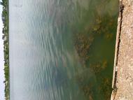 Баштанка з panoramio.com