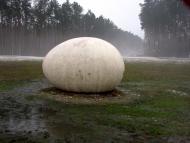 Болотня з panoramio.com