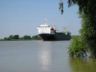 Ліски з panoramio.com