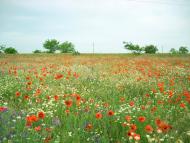 Тургенево - Последние фото
