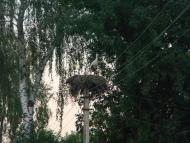 Білозір'я з panoramio.com