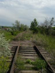 Плавні з panoramio.com