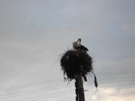 Рудня - Последние фото