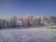 Лип'ятин з panoramio.com