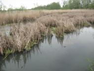 Ободівка з panoramio.com