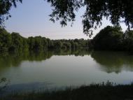 Гавришівка з panoramio.com
