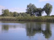 Жовнине з panoramio.com