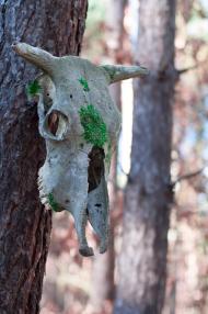 Турійськ з panoramio.com