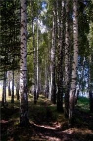 Бруслинів з panoramio.com