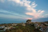 Нововідрадне з panoramio.com