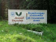 Іванівці з panoramio.com