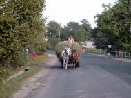 Наконечне Друге з panoramio.com