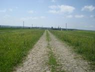 Черепова з panoramio.com