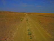 Шевченкове з panoramio.com