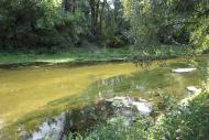 Юганівка з panoramio.com